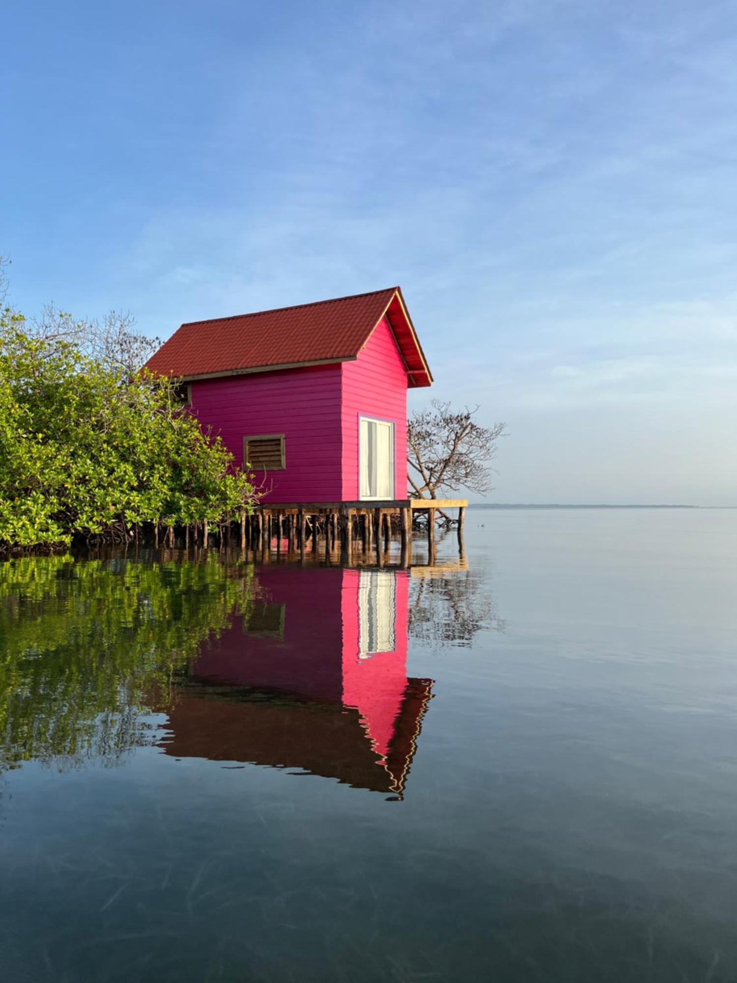 Urraca Monkey Island Eco Resort (Adults Only) Punta Laurel Exterior photo