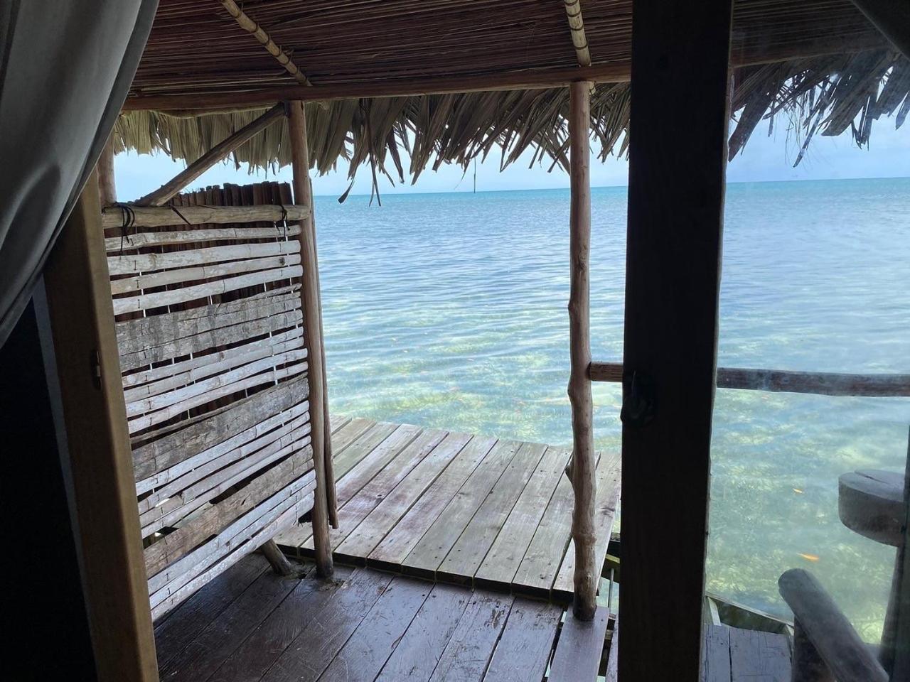 Urraca Monkey Island Eco Resort (Adults Only) Punta Laurel Exterior photo