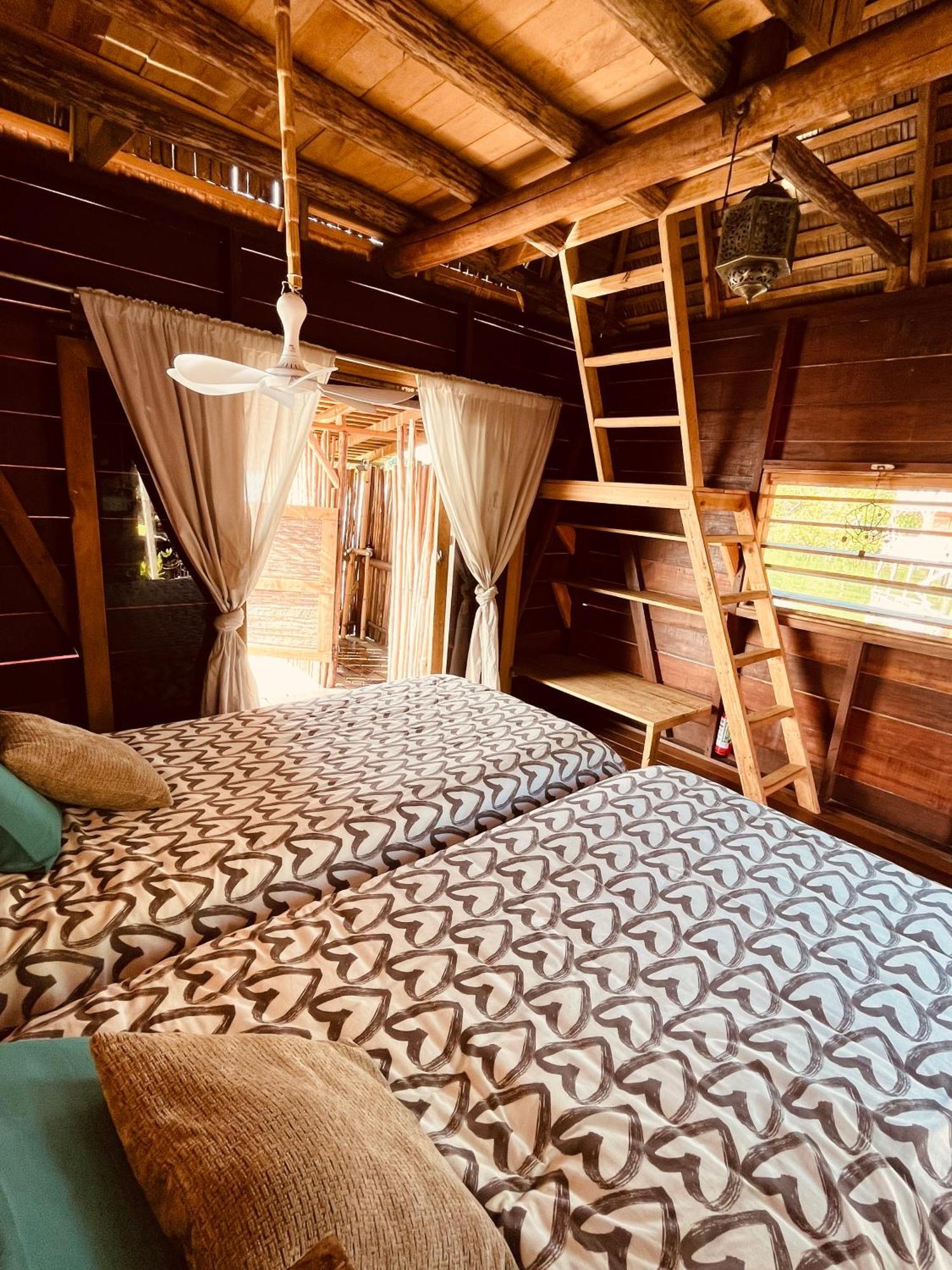 Urraca Monkey Island Eco Resort (Adults Only) Punta Laurel Room photo