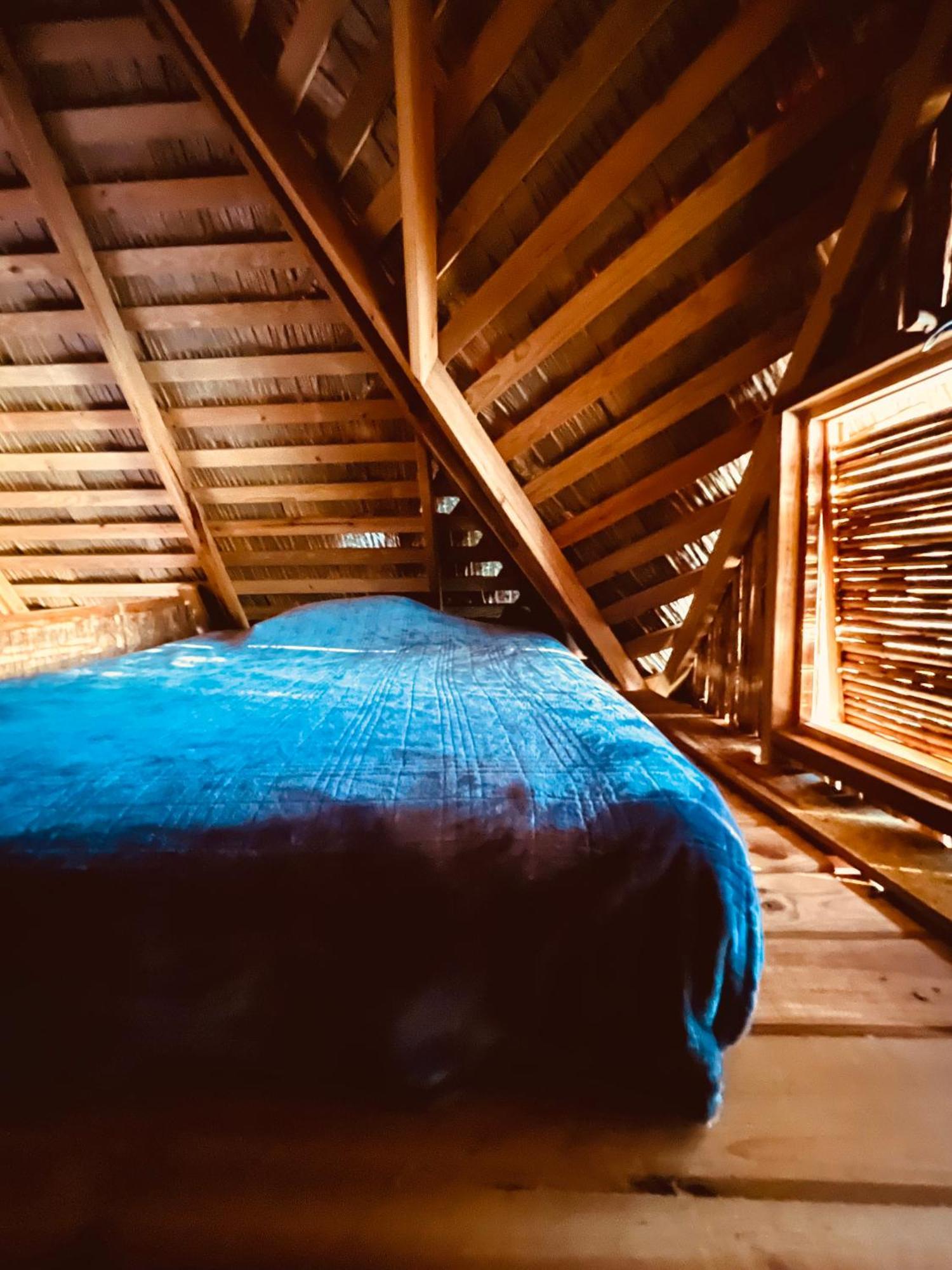 Urraca Monkey Island Eco Resort (Adults Only) Punta Laurel Room photo